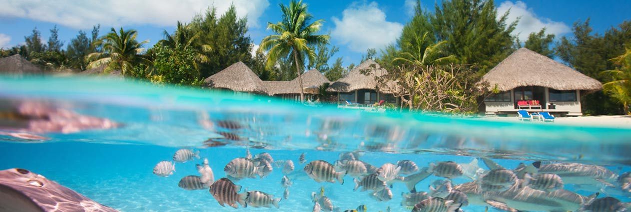 Cheap hotels to French Polynesia