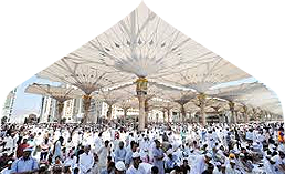 20 Days Economy Umrah Package (Rabi-Ul-Awal in Madinah)