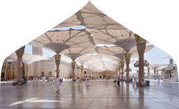 Economy Plus Umrah package 28 days