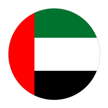 Dubai Visa Flag