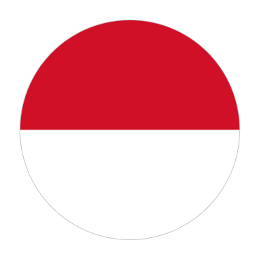 Indonesia Visa Flag