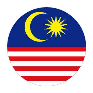 Malaysia Visa Flag