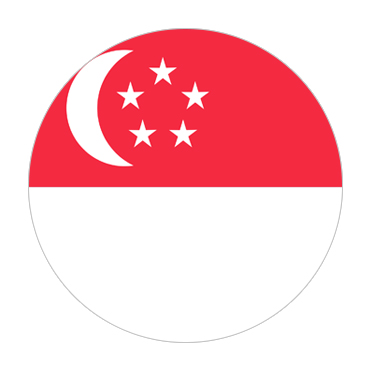 Singapore Visa Flag