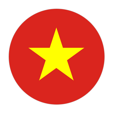 Vietnam Visa Flag